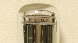 5Y3WGT